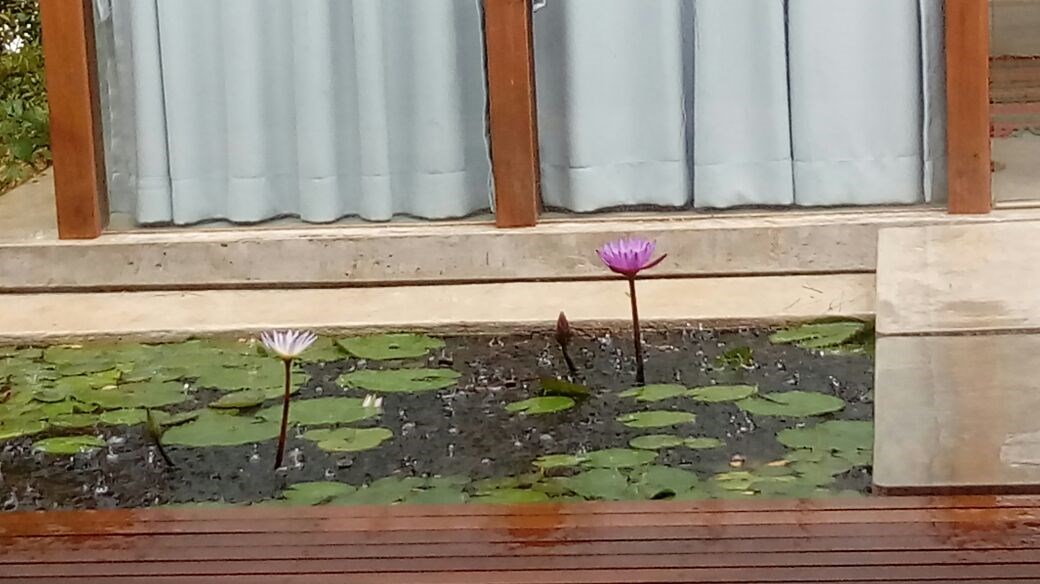 יוגה גני ,קונדליני יוגה, בקעת אונו,יהוד,אוריהודה